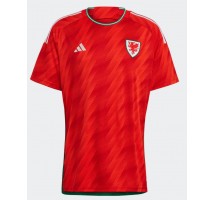 Wales Koszulka Podstawowa MŚ 2022 Krótki Rękaw