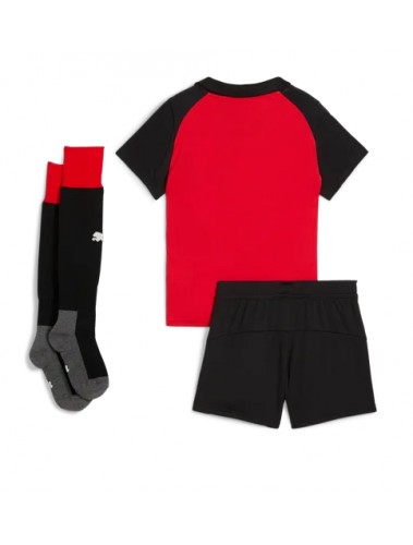 Stade Rennais Koszulka Podstawowa dzieci 2025-26 Krótki Rękaw (+ krótkie spodenki) Stade Rennais Koszulka Podstawowa dzieci 2025-26 Krótki Rękaw (+ krótkie spodenki)