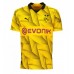 Borussia Dortmund Mats Hummels #15 Koszulka Trzecia 2023-24 Krótki Rękaw